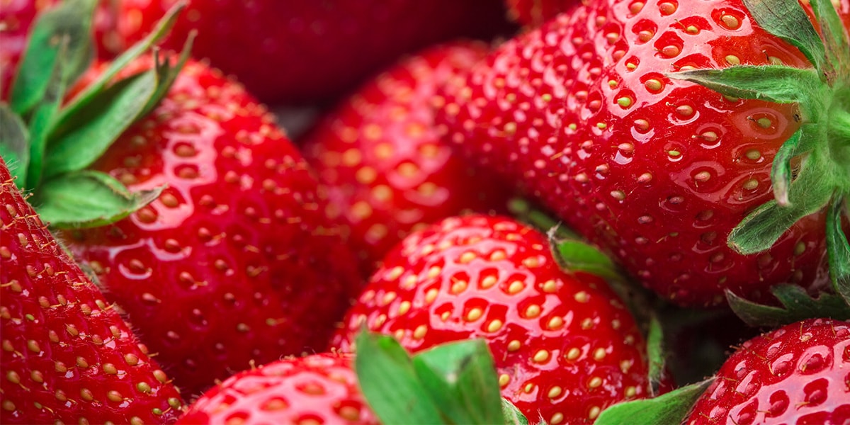 Las fresas, las vitaminas del invierno: ¡Sorpréndete!