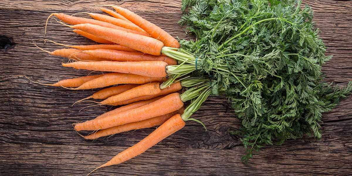 Zanahoria: el snack del verano