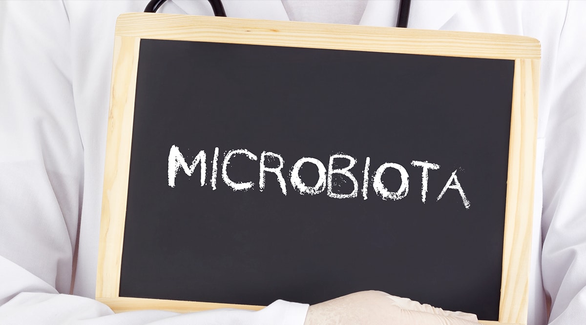 ¿Qué son y para qué sirven las enzimas digestivas y la microbiota?